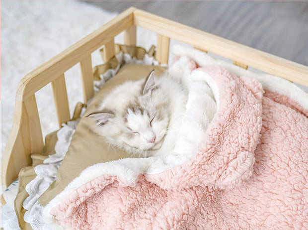 Pet Cloak Cute Cotton Velvet Dogs And Cats Warm Blanket