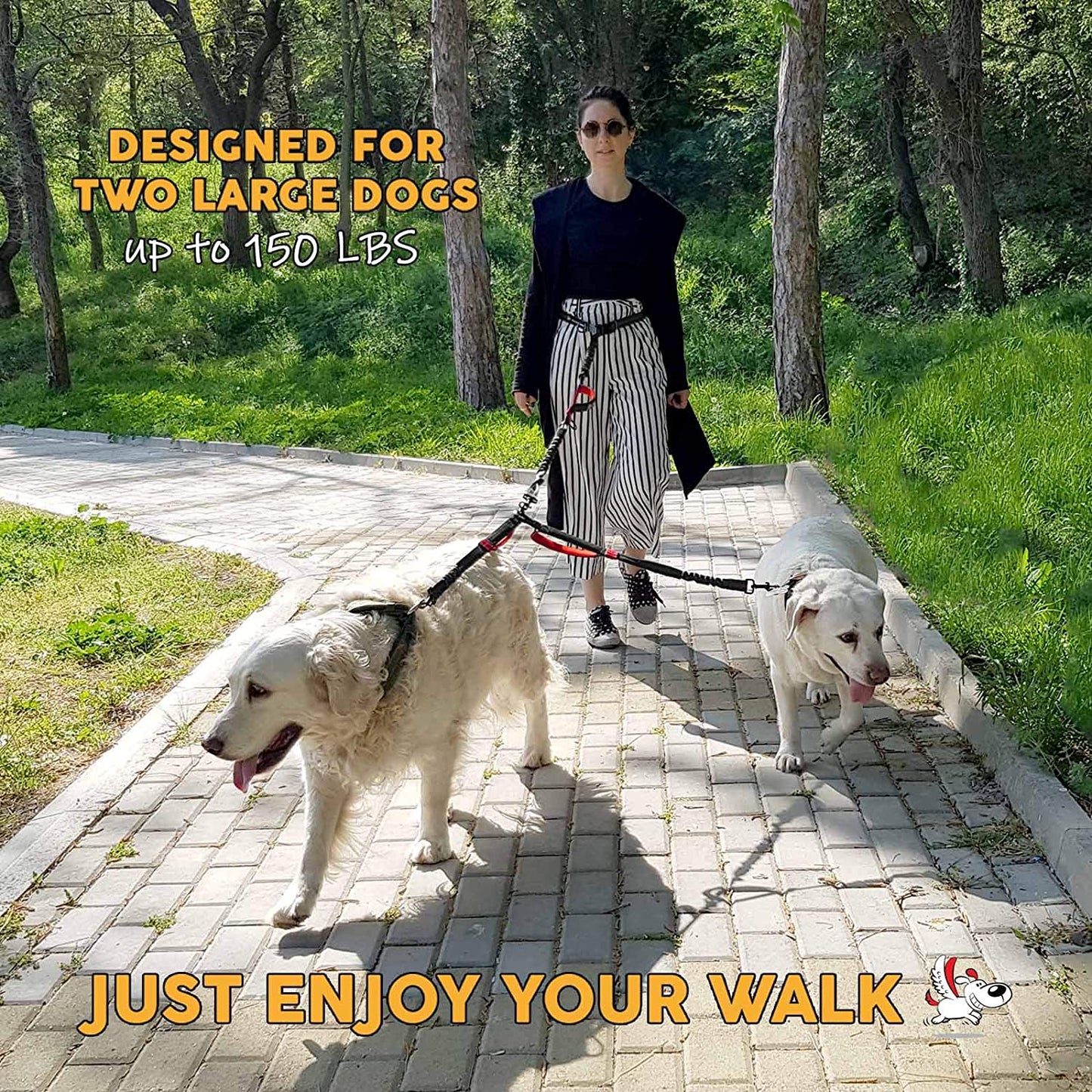 Exquisite Double Dog Leash for Large Dogs | Hands Free Dog Leash 2 Dogs | Waist Dog Leash for Large Dogs | Two Dog Leash for Large Dogs | Leash for Big Dogs | Hands Free Running Dog Leash