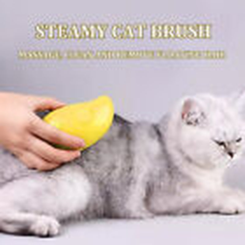 Cat Steam Brush Steamy Dog Brush 3 in 1 Electric Massage Spray Cat Hair Brush