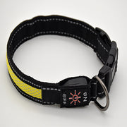 Waterproof Pet Collar Two-color Mesh Dog Neck Golden Retriever Anti-lost At Night